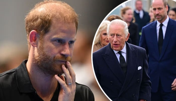Prince Harry delights King Charles, William with Ill be mindful pledge
