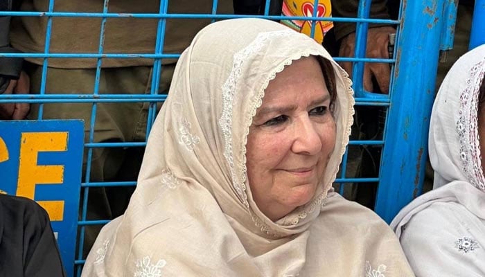 Noreen Niazi, sister of Pakistan Tehreek-e-Insaf founder Imran Khan, is pictured during a sit-in near Adiala Jail, Rawalpindi. — APP/File
