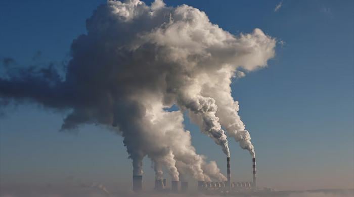 A test for COP31