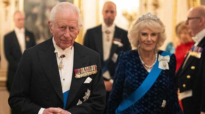 King Charles, Queen Camilla's new announcement delights fans amid crisis