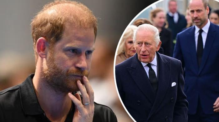 Prince Harry delights King Charles, William with 'I'll be mindful' pledge