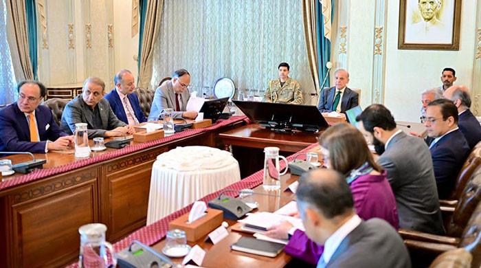 PM Shehbaz sets November deadline for AI-related projects under Alibaba partnership