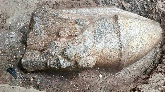 Egyptian farmer uncovers Colossal statues of Ramses II beneath his cucumber field