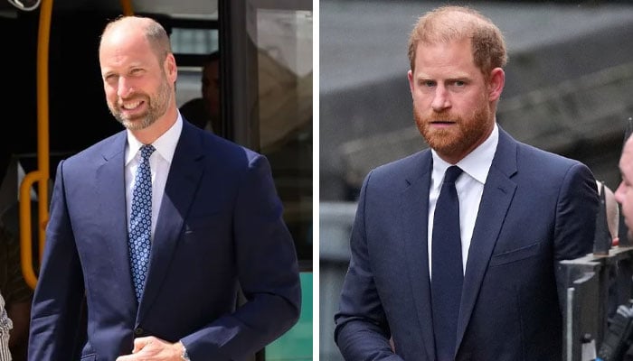 Prince William beats Prince Harry to the punch with ‘petty’ move