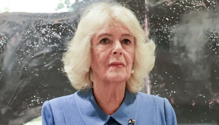Queen Camilla’s absence sparks health concerns as fresh fears laid bare