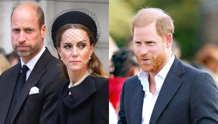 Prince William, Princess Kate reply to Harrys unintended swipe