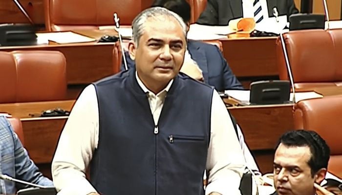 Interior Minister Mohsin Naqvi addresses Senate session on October 29, 2026. — YouTube/Geo News/screengrab
