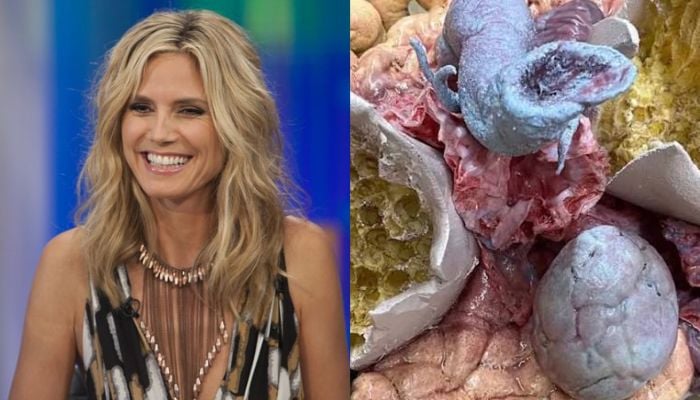 Heidi Klum Halloween costume 2026: Star teases bloody, fungus-like look