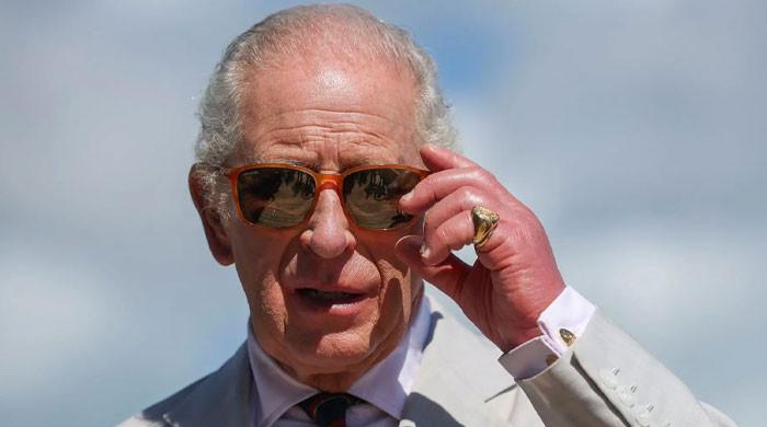 King Charles dismisses growing reparation demands with unexpected move