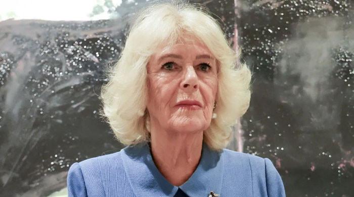 Queen Camilla forced to scale back despite will to support King Charles