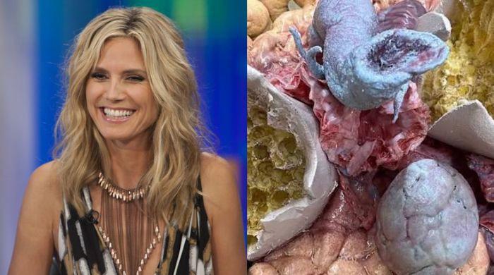 Heidi Klum Halloween costume 2026: Star teases bloody, fungus-like look